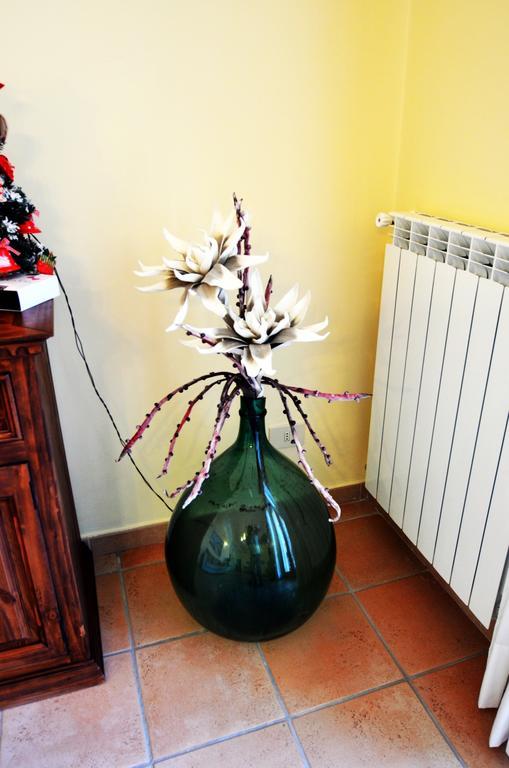 Il Fiore Del Golfo 산트아구타수이두에골피 외부 사진